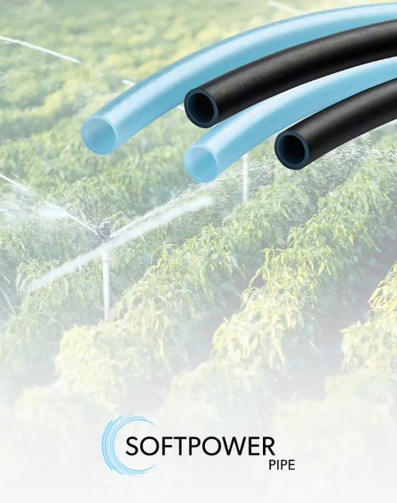SOFTPOWER BORU