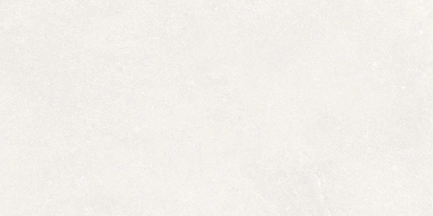0600X1200 RENATO-BIANCO FON MAT
