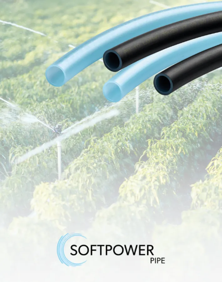 SOFTPOWER BORU